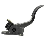 پدال گاز کوییک، شاهین، ساینا و تیبا کروز